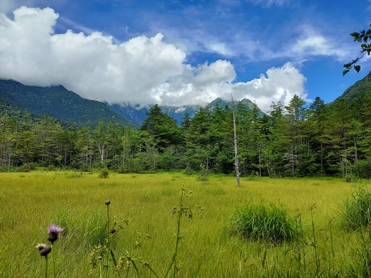 【2024年6月リニューアル・上高地の初夏を満喫】清々しい山の緑を楽しむ1泊2食のご滞在